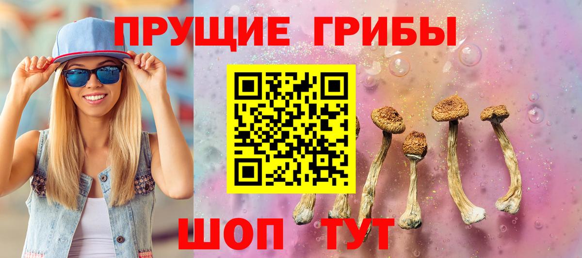 Нижнекамск  Псилоцибиновые грибы MAGIC MUSHROOMS  Галлюциногенные грибы MAGIC MUSHROOMS  Вход с VPN 